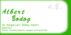 albert bodog business card