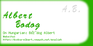 albert bodog business card